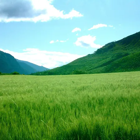 L'asphodele 3*